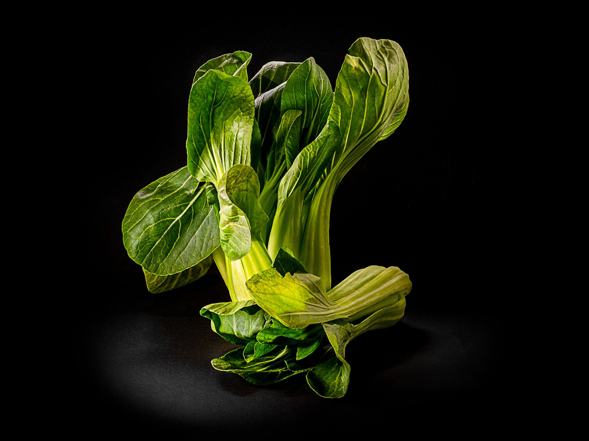 PakChoi01